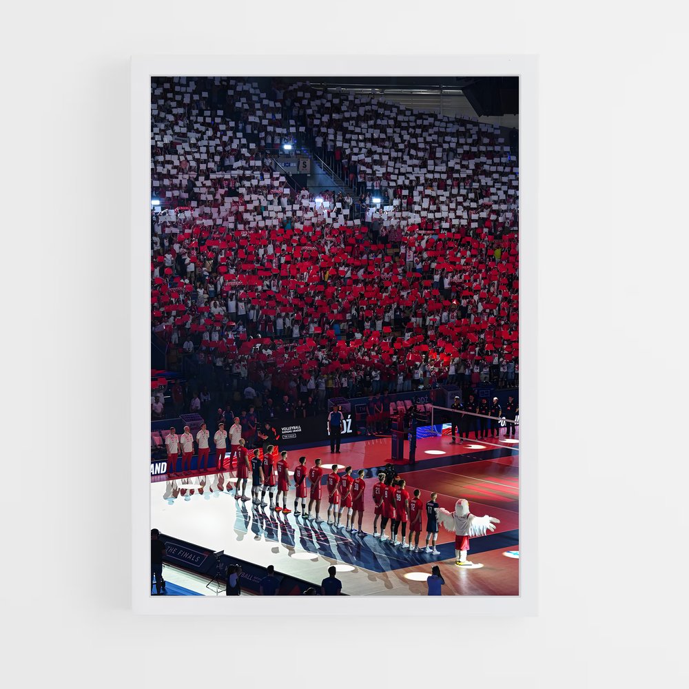 Poster La Fureur de la Foule – affiche Volleyball (vue 3)